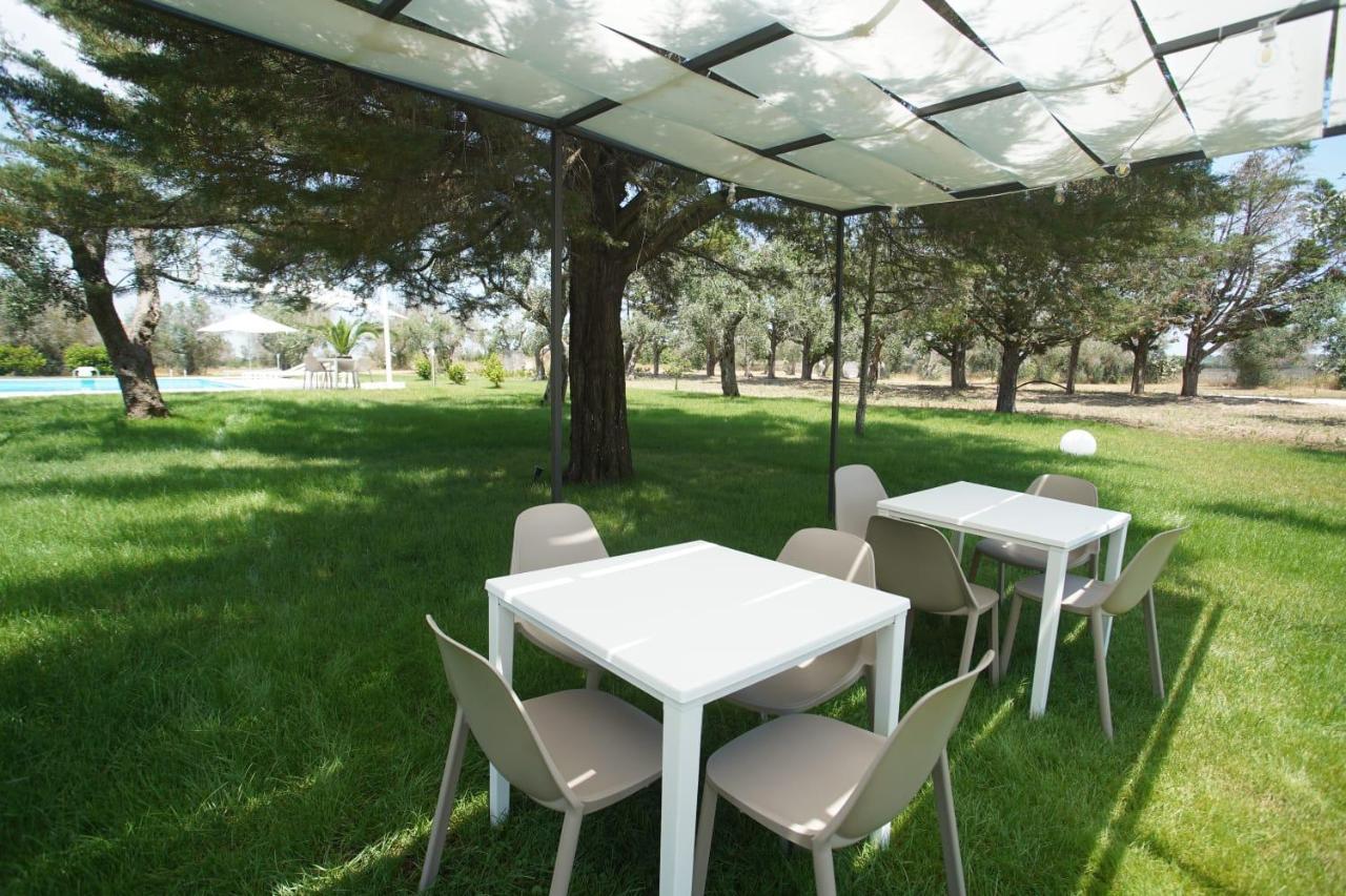 사나리카 Gli Ulivi Di Gino B&B 외부 사진