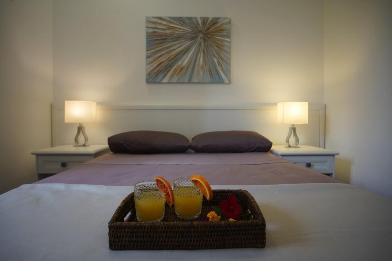 사나리카 Gli Ulivi Di Gino B&B 외부 사진