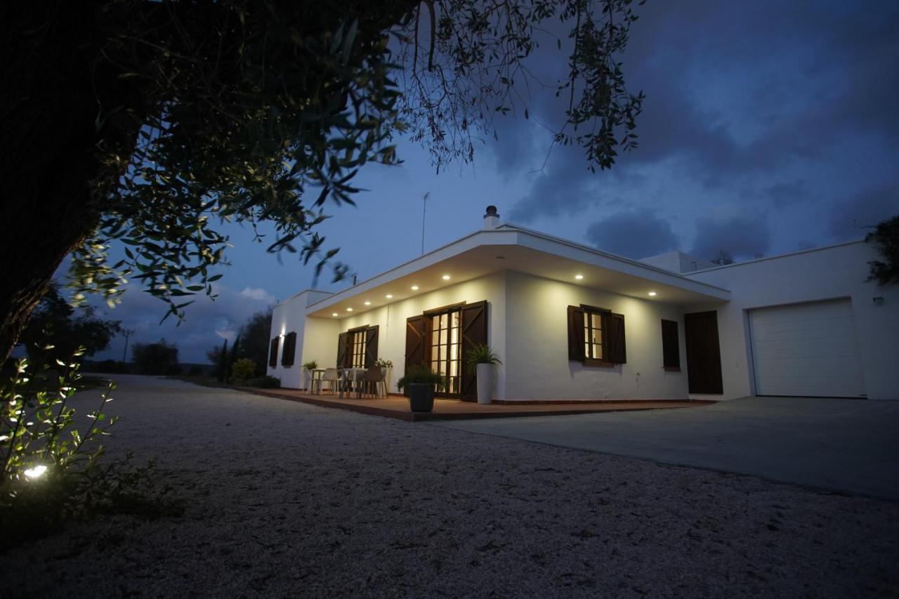 사나리카 Gli Ulivi Di Gino B&B 외부 사진