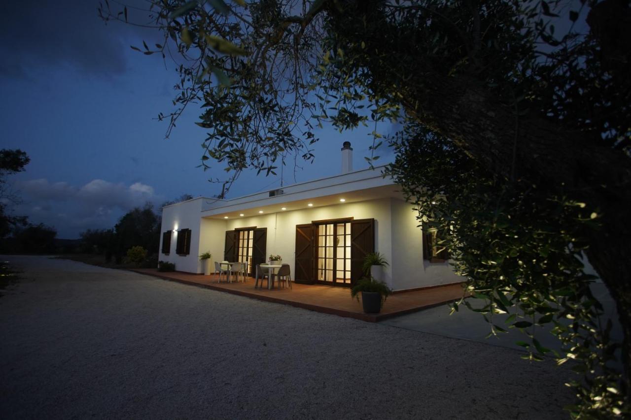 사나리카 Gli Ulivi Di Gino B&B 외부 사진